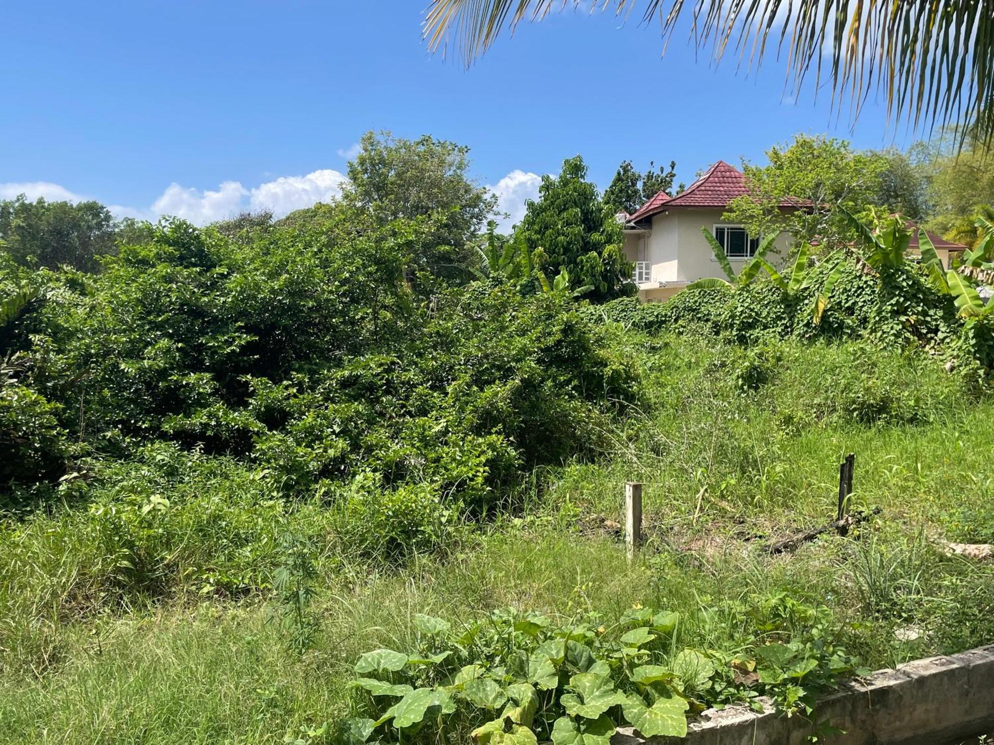 R&V Villa Negril Exterior photo